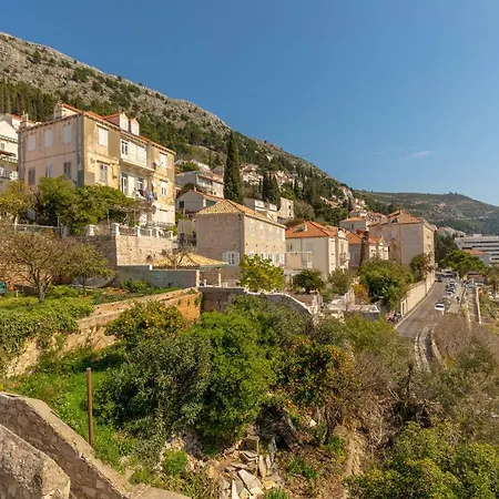 Hedera Estate, Hedera A19